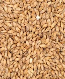 European Style Pilsner