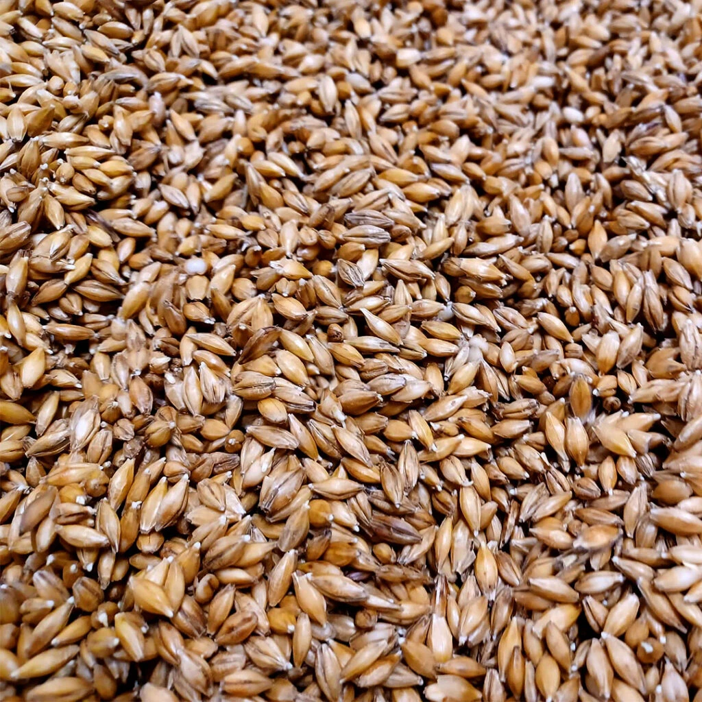 Lacey Distillers Malt