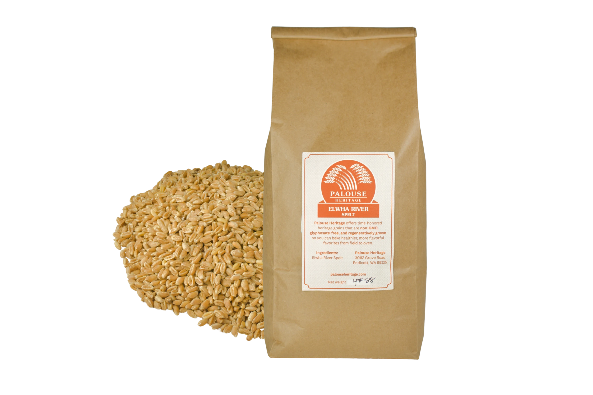 Elwha River Spelt Berries